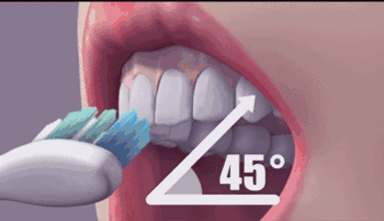 刷牙前需要蘸水吗？今天就给你准确答案！(图4)